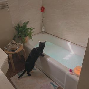 欧美色图第二页
